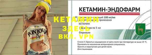 трава Кодинск