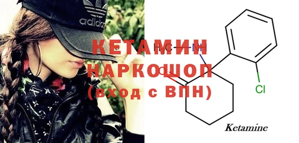 трава Кодинск